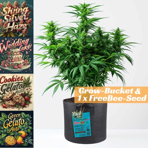 Grow Bucket Living Soil organic